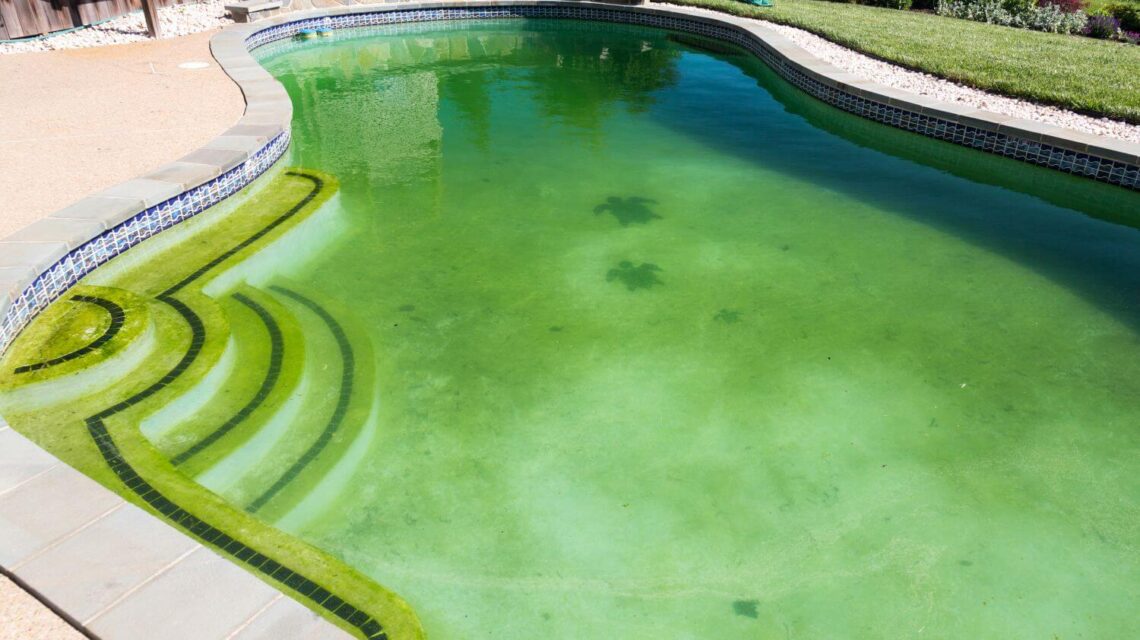 Cost Of Neglecting Your Pool