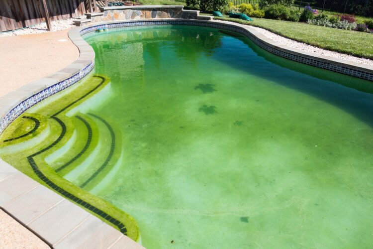 Cost Of Neglecting Your Pool