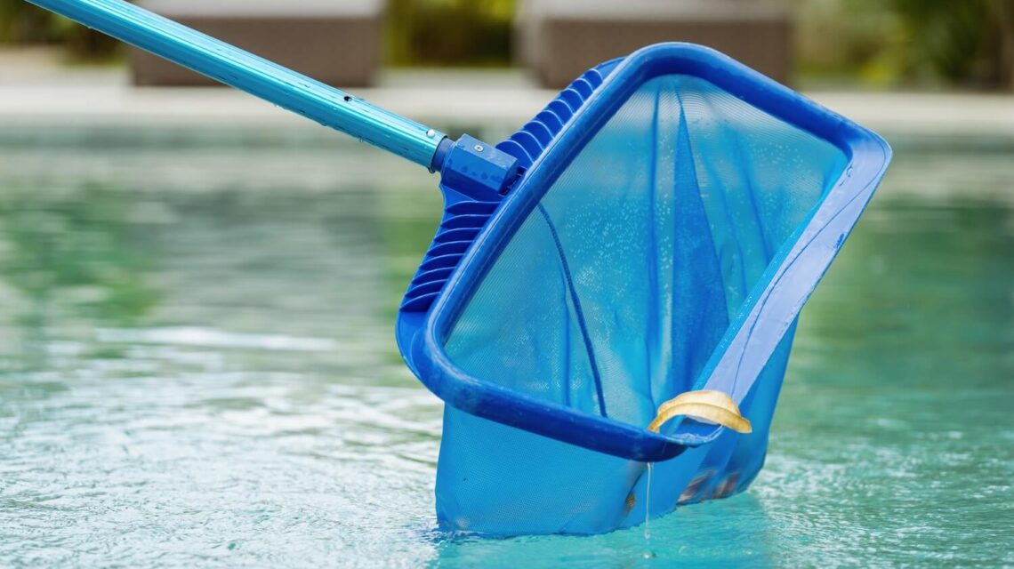 What are Some Signs That Your Pool Needs Professional Cleaninging