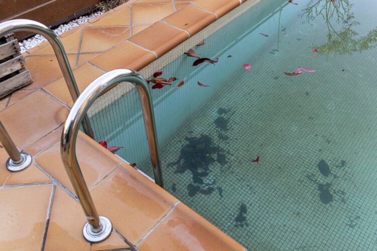 How To Prevent Your Pool From Turning Green From Algae