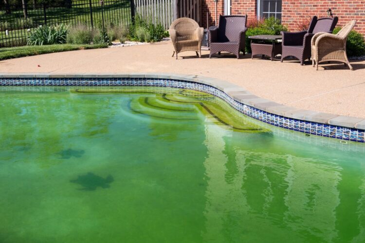 How Do You Clean a Green Pool in Central Florida?