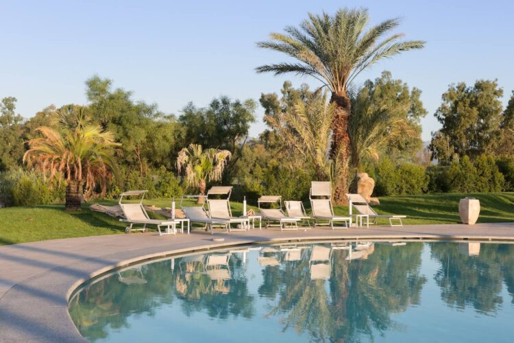 Why Chemical Feeding Systems Are Vital For Healthy Florida Pools filtration